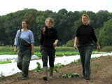 Video now online! Tuinderij De Stroom, The Netherlands: Growing strong through&nbsp;collaboration!