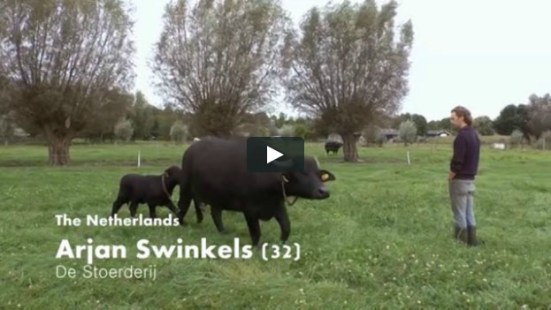 Arjan Swinkels video cover_02