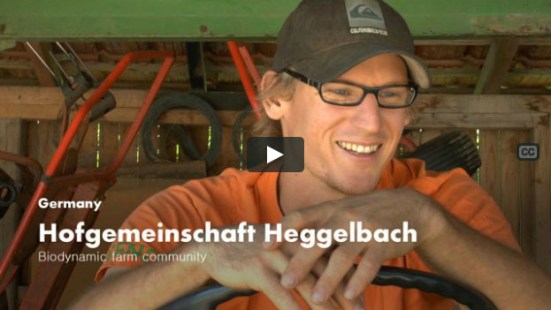 Heggelbach video cover_02