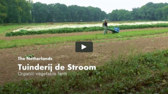 tuinderij de stroom - video cover_02